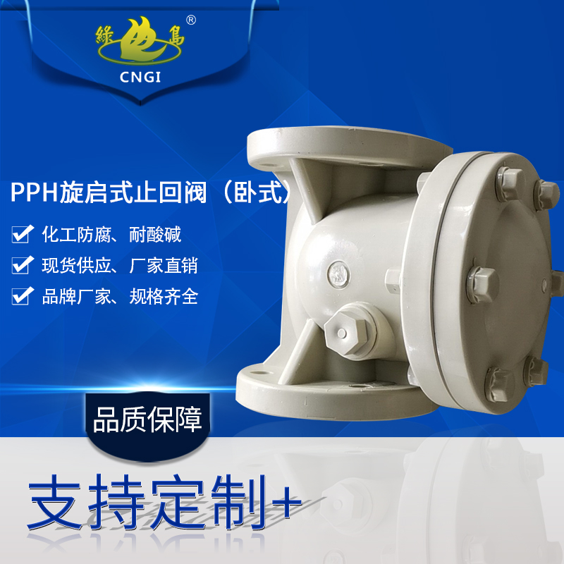 PPH swing check valve